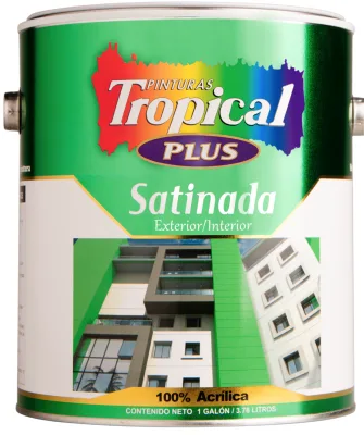 GALÓN SATINADA/PLUS ICE CREAM 965