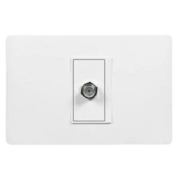 TOMA COAXIAL + TELEF. BTICINO MODU S AE2272EM