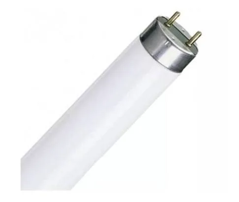 TUBO FLUORESENTE 32